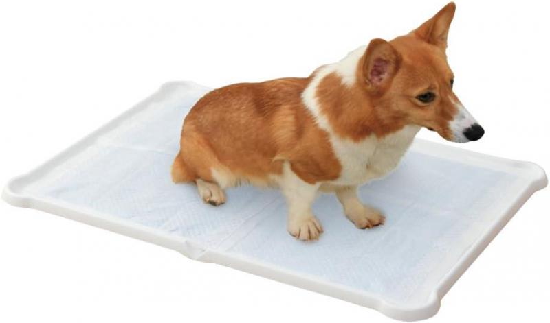 シーツぴたっとトレー ダブルワイド ホワイト P-SPTD 5,394円