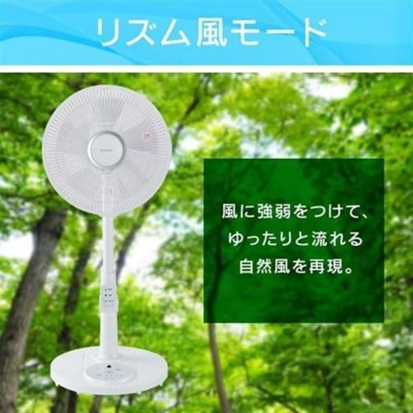 リビング扇風機 左右首振り リモコン付 PF-M302RA-W ホワイト