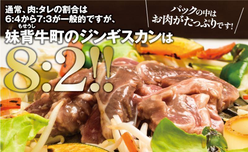 ジンギスカン塩5個セット