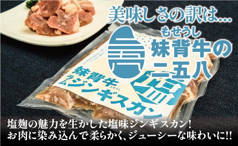ジンギスカン塩5個セット