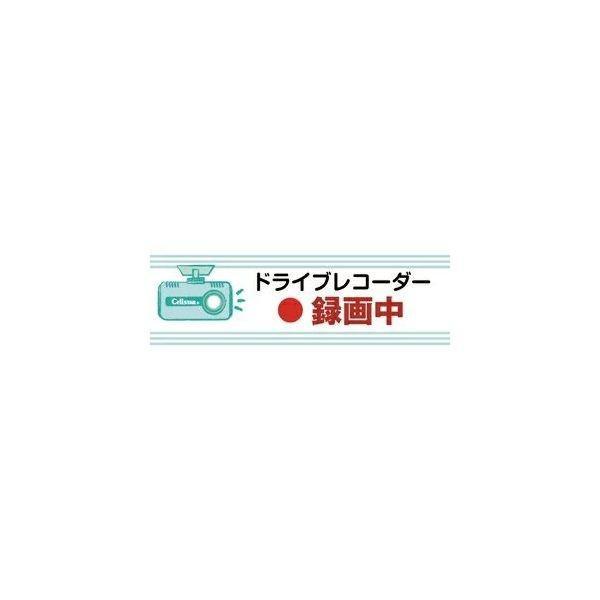 GDO-35 CellSTAR ドライブレコーダーステッカー パステルグリーン小