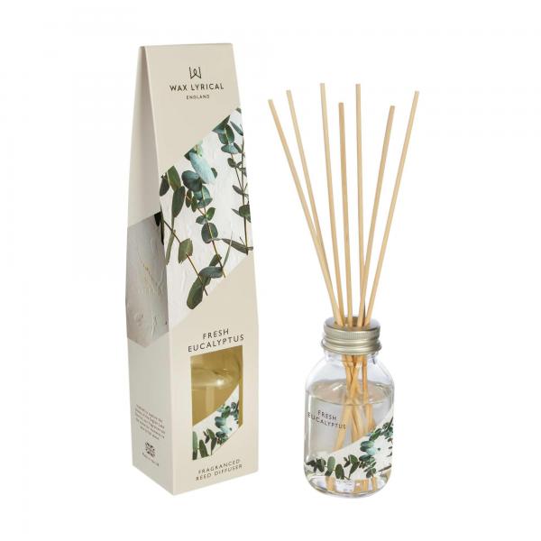 ディフューザー100ml/フレッシュユーカリ