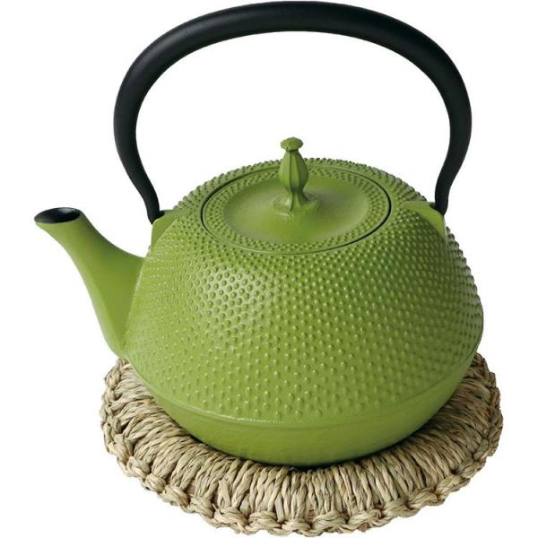 ヤマコー 鉄瓶 南部鋳鉄 緑 19×19×19cm 782659