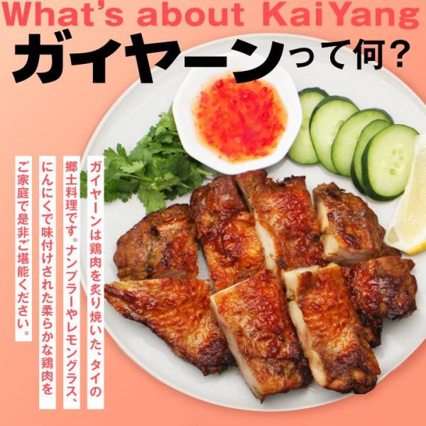 <大阪王将>タイ風グリルチキン ガイヤーン3袋＆カレーチャーハン6袋セット