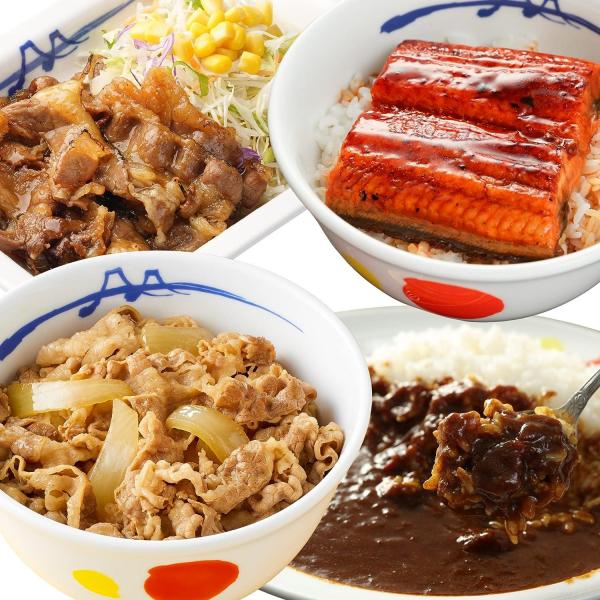 牛めしの具（プレミアム仕様）14個/オリジナルカレー8個/牛カルビ焼肉2個/ふわとろ鰻蒲焼カット1枚セット