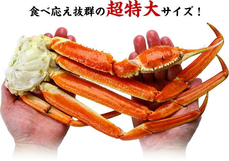超特大 ボイルずわいがに 足 5kg 4Lサイズ 約14肩入 業務用 産地箱