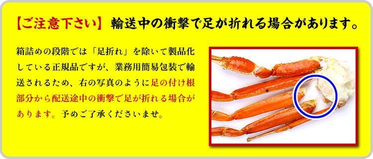 超特大 ボイルずわいがに 足 5kg 4Lサイズ 約14肩入 業務用 産地箱