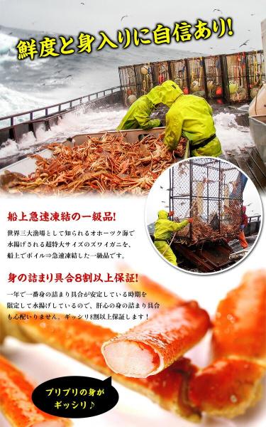 超特大 ボイルずわいがに 足 5kg 4Lサイズ 約14肩入 業務用 産地箱