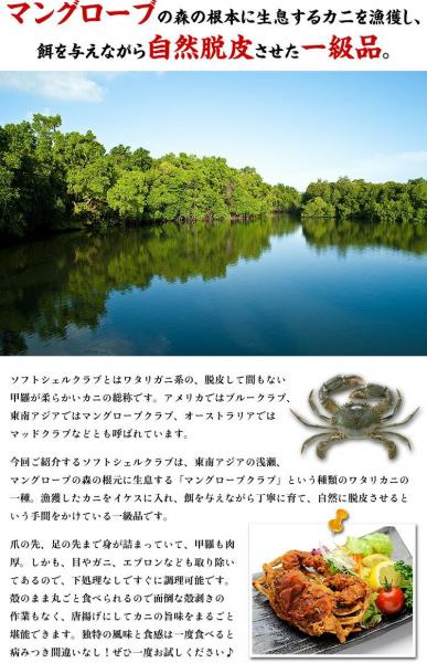 ソフトシェルクラブ 業務用 1kg 10～12尾入 マングローブクラブ