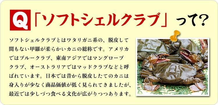 ソフトシェルクラブ 業務用 1kg 10～12尾入 マングローブクラブ