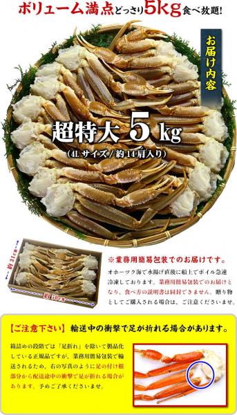 超特大 生ずわいがに 足 5kg 4Lサイズ 約14肩入 業務用 産地箱
