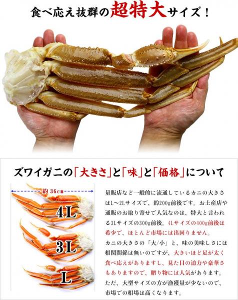 超特大 生ずわいがに 足 5kg 4Lサイズ 約14肩入 業務用 産地箱