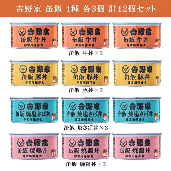 吉野家 缶飯 玄米入り 4種 各3缶 計12缶 各160g 詰め合わせ アソート セット （ 牛丼 豚丼 焼鶏丼 焼塩さば ）
