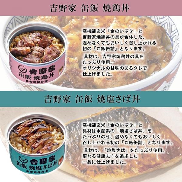 吉野家 缶飯 玄米入り 4種 各3缶 計12缶 各160g 詰め合わせ アソート セット （ 牛丼 豚丼 焼鶏丼 焼塩さば ）