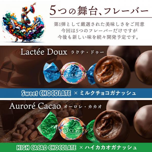 チョコレート チョコ 3CLAP！ CHOCOLATE Happyセット 20個入 （ 全5種類/各4個 ） ［ 送料無料 かわいい スリークラップ チョコレート スイーツ 本格クーベルチュール使用 ］ バレンタイン チョコ バレンタインチョコレート 個包装 子供 2024 かわいい おしゃれ ギフト