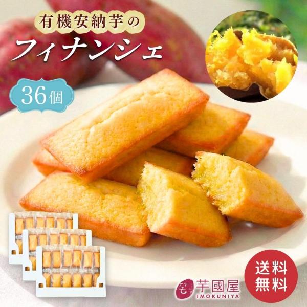 安納芋 フィナンシェ 36個セット オーガニック 詰め合わせ ギフト 個包装 高級 焼き菓子 小分け 送料無料 有機栽培 無農薬 安納いも 和菓子 お取り寄せ 高級菓子 高級お菓子 スイーツ お取り寄せスイーツ 焼菓子 finan36