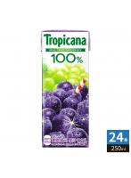 キリン トロピカーナ100％ グレープ 250ml 紙パック 24本入 ぶどうジュース 果汁飲料 濃縮還元