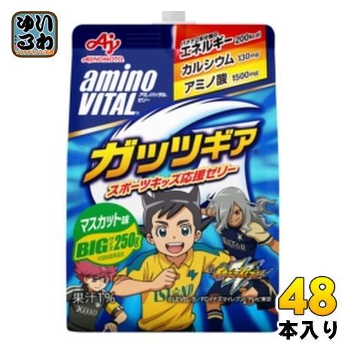 味の素 アミノバイタルゼリー ガッツギア マスカット味 250g パウチ 48個 （24個入×2 まとめ買い）