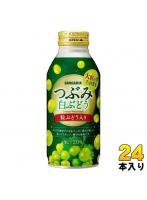 サンガリア つぶみ白ぶどう 380g ボトル缶 24本入 果汁飲料 白ブドウ