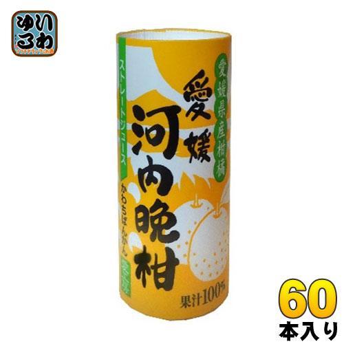 愛工房 河内晩柑 125ml カート缶 60本 （30本入×2 まとめ買い）