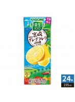 カゴメ 野菜生活100 宮崎月夜実グレープフルーツ＆日向夏ミックス 195ml 紙パック 24本入 野菜ジュース 果汁ミックス