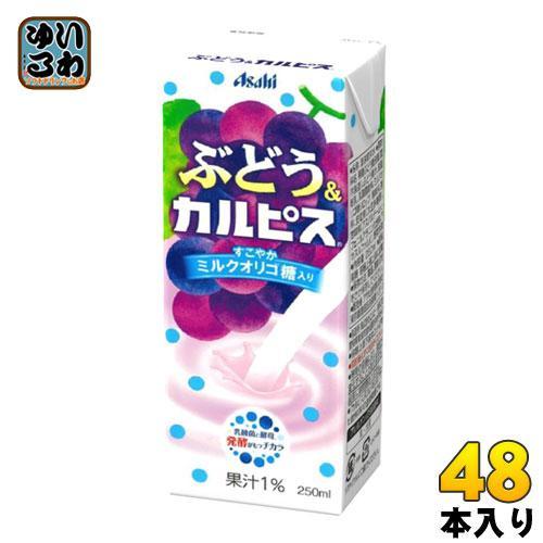 エルビー ぶどう＆カルピス 250ml 紙パック 48本 （24本入×2 まとめ買い）