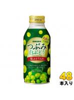 サンガリア つぶみ白ぶどう 380g ボトル缶 48本 (24本入×2 まとめ買い) 果汁飲料 白ブドウ