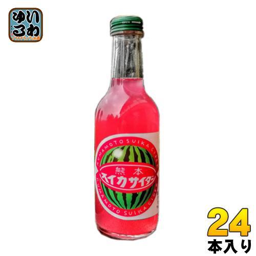 友桝飲料 熊本すいかサイダー 245ml 瓶 24本入