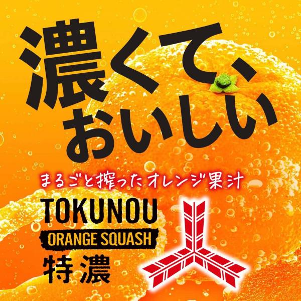 アサヒ 三ツ矢 特濃オレンジスカッシュ 500ml×48本/2ケース【北海道・東北・四国・九州・沖縄県は必ずがかかります】 アサヒ 三ツ矢 特濃オレンジスカッシュ 500ml×48本/2ケース【北海道・東北・四国・九州・沖縄県は必ずがかかります】