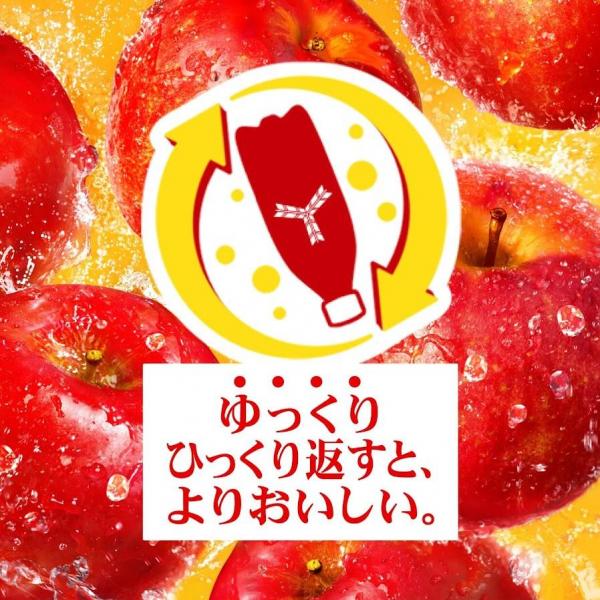 アサヒ 三ツ矢 特濃アップルスカッシュ 500ml×2ケース/48本