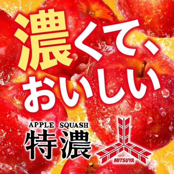 アサヒ 三ツ矢 特濃アップルスカッシュ 500ml×2ケース/48本