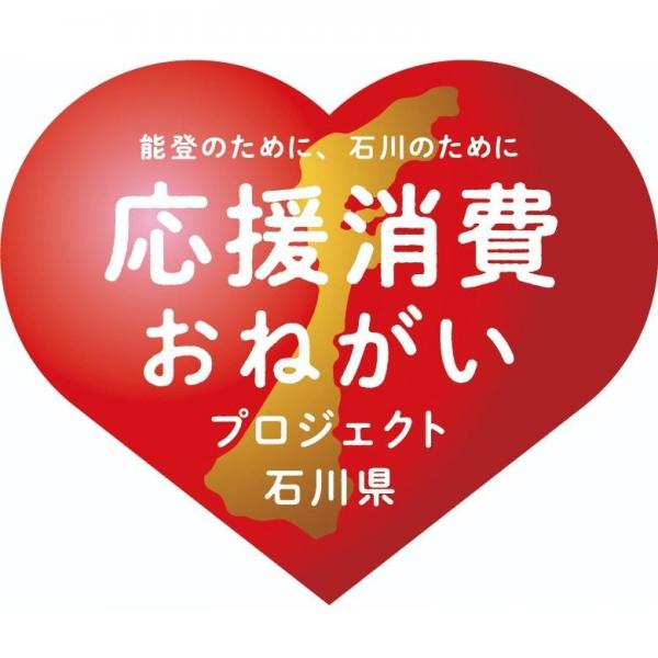 サッポロ 生ビール ナナマル 500ml×1ケース/24本【北海道・沖縄県・四国・九州地方は別途送料】