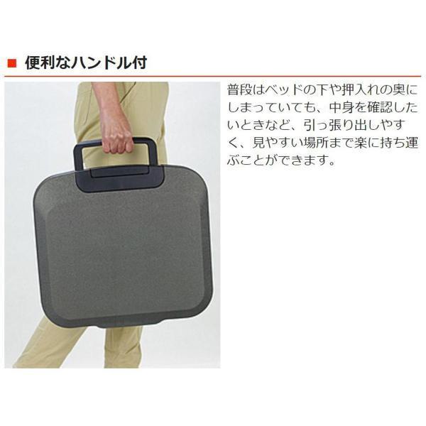 Sentry ポータブル耐火・防水保管庫（30分耐火・72時間防水） 容量約7.8L A4サイズ収納可 フラットキー CHW20101