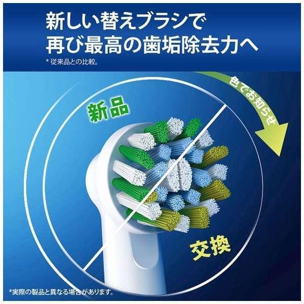 BRAUN ブラウン マルチアクションブラシ カラーシグナル付き 6本入 EB50RX-6-EL BRAUN ブラウン マルチアクションブラシ カラーシグナル付き 6本入 EB50RX-6-EL