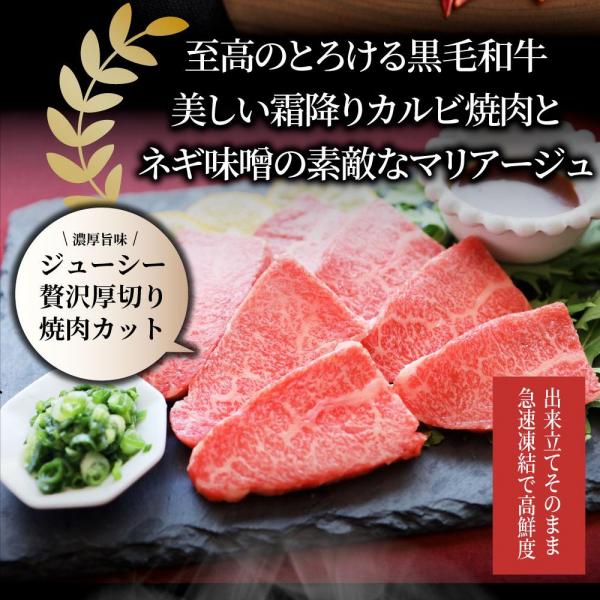 しゃぶまる A4A5等級 特選 黒毛和牛 カルビ焼肉 ねぎまみれ 旨辛味噌ダレ （1kg（250g×4））