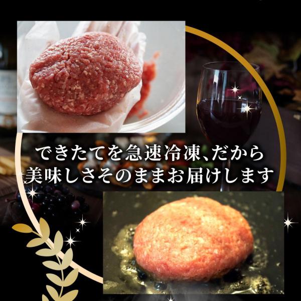 とろける チーズイン デミハンバーグシチュー お肉屋さん自信の絶品シチュー （6.6kg（220g×30））