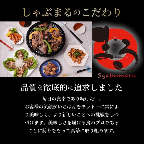 とろける チーズイン デミハンバーグシチュー お肉屋さん自信の絶品シチュー （6.6kg（220g×30））