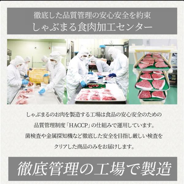 とろける チーズイン デミハンバーグシチュー お肉屋さん自信の絶品シチュー （6.6kg（220g×30））