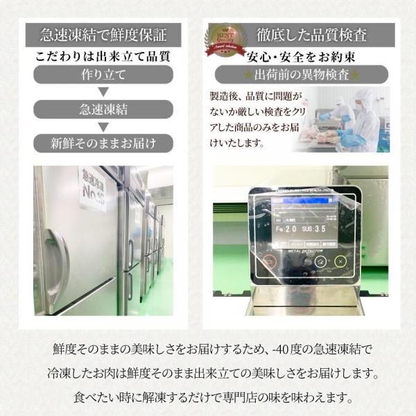 とろける チーズイン デミハンバーグシチュー お肉屋さん自信の絶品シチュー （6.6kg（220g×30））