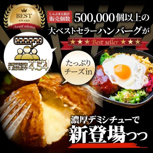 とろける チーズイン デミハンバーグシチュー お肉屋さん自信の絶品シチュー （6.6kg（220g×30））