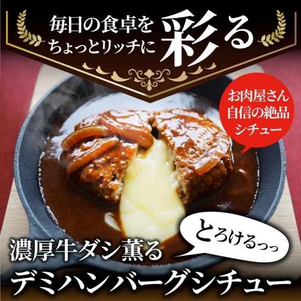 とろける チーズイン デミハンバーグシチュー お肉屋さん自信の絶品シチュー （6.6kg（220g×30））