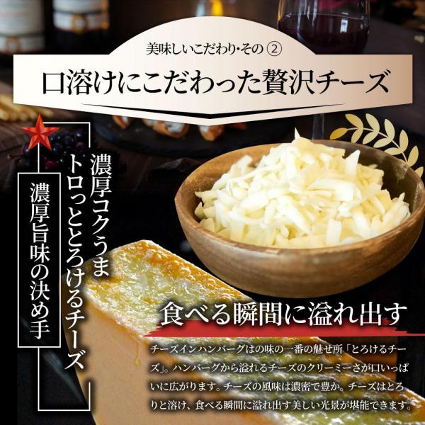 とろける チーズイン デミハンバーグシチュー お肉屋さん自信の絶品シチュー （6.6kg（220g×30））