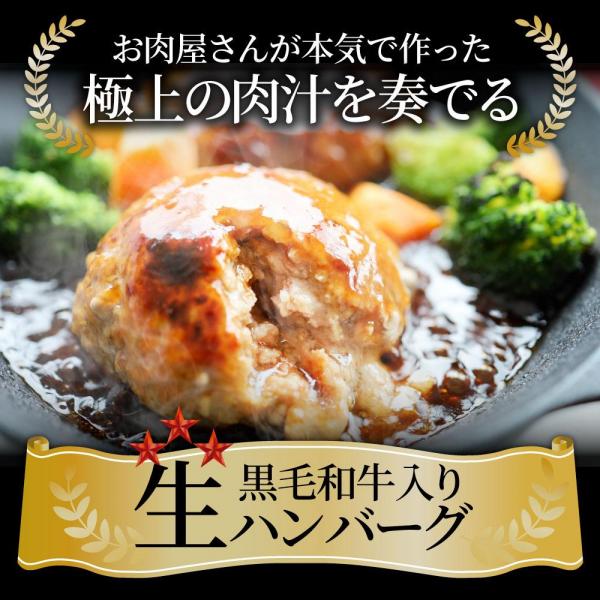 しゃぶまる 黒毛和牛 手作り ハンバーグ ソース付き 150g×10個