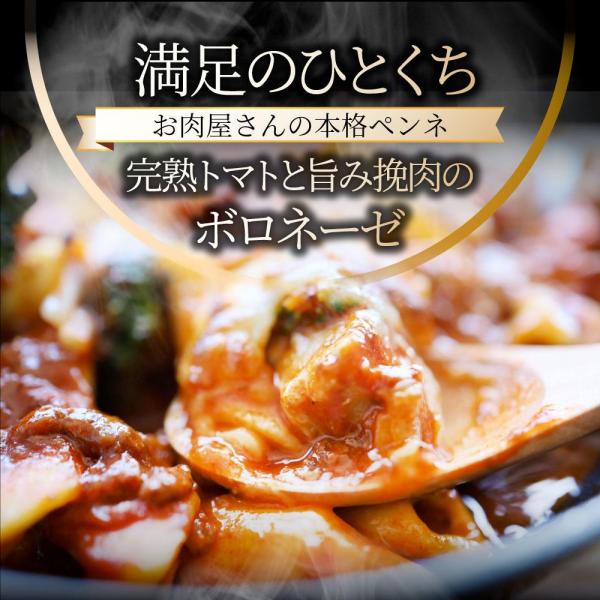 しゃぶまる 完熟トマトの ボロネーゼ 満足チキン チーズパスタ レンジで簡単・シェフの味 （10食セット）