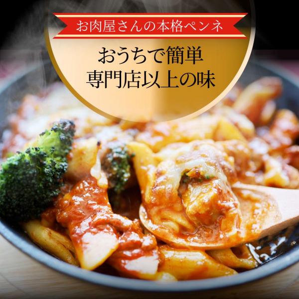 しゃぶまる 完熟トマトの ボロネーゼ 満足チキン チーズパスタ レンジで簡単・シェフの味 （10食セット）