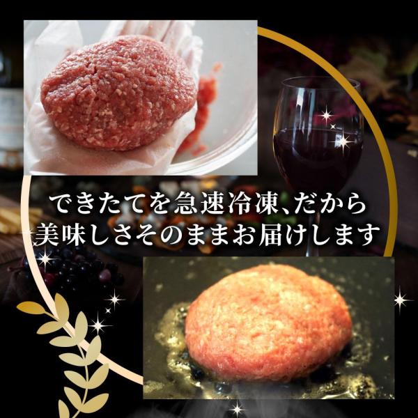 しゃぶまる やわらか 煮込みハンバーグ 濃厚デミソース 20食（3kg）