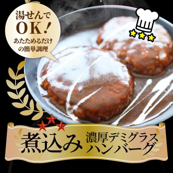 しゃぶまる やわらか 煮込みハンバーグ 濃厚デミソース 20食（3kg）