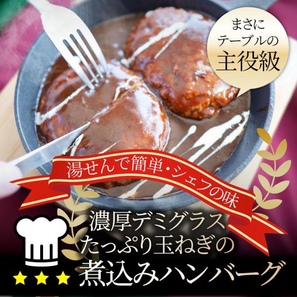 しゃぶまる やわらか 煮込みハンバーグ 濃厚デミソース 20食（3kg）