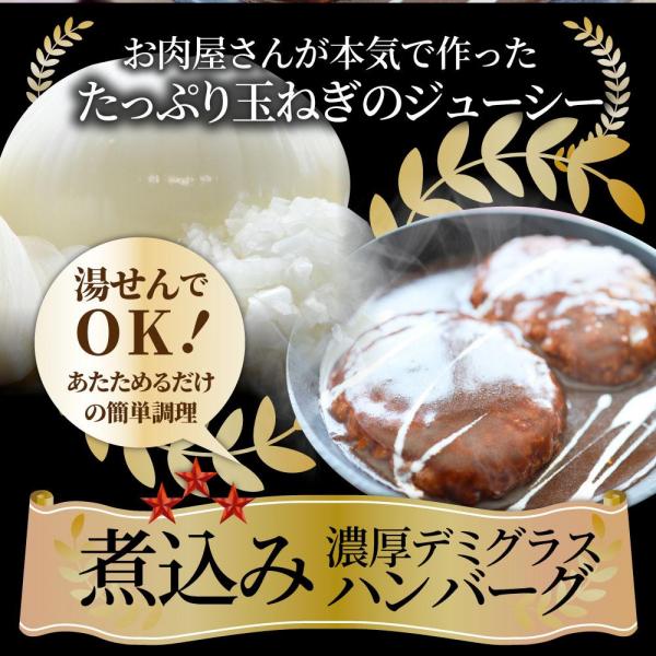しゃぶまる やわらか 煮込みハンバーグ 濃厚デミソース 20食（3kg）