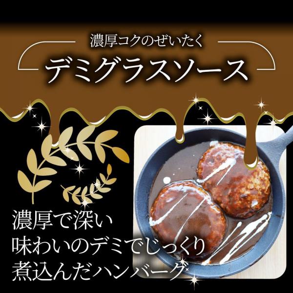 しゃぶまる やわらか 煮込みハンバーグ 濃厚デミソース 20食（3kg）
